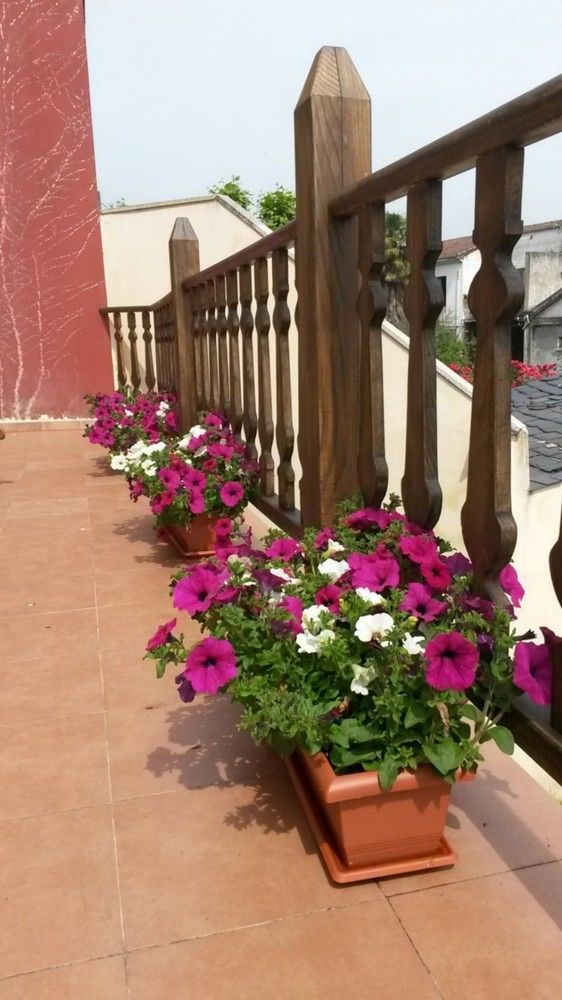 La Casona De Sarria Hostel Kültér fotó